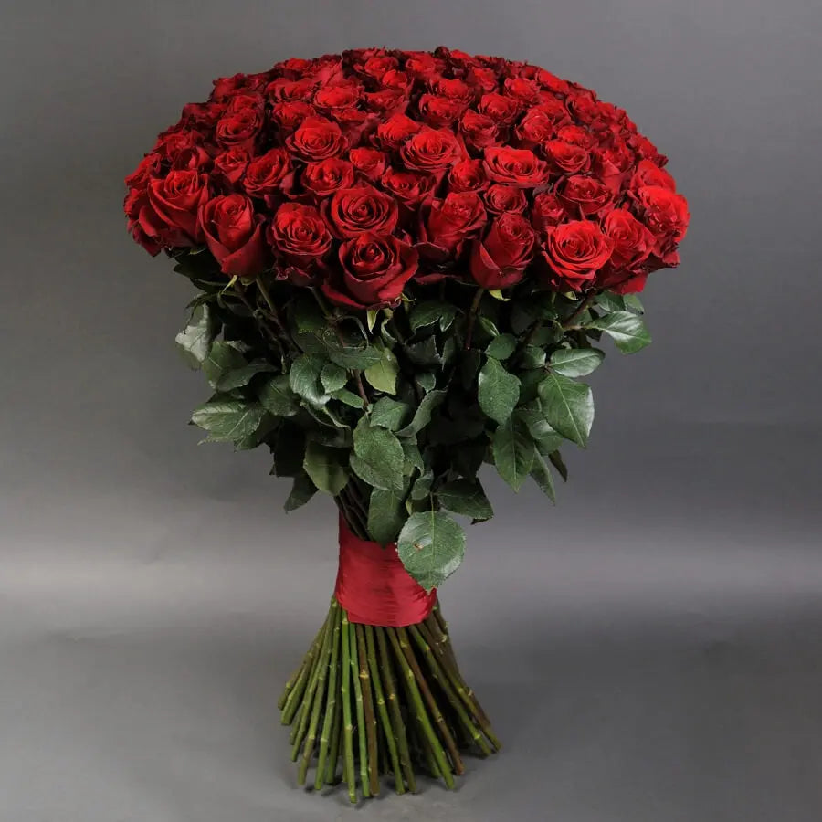 100 red roses