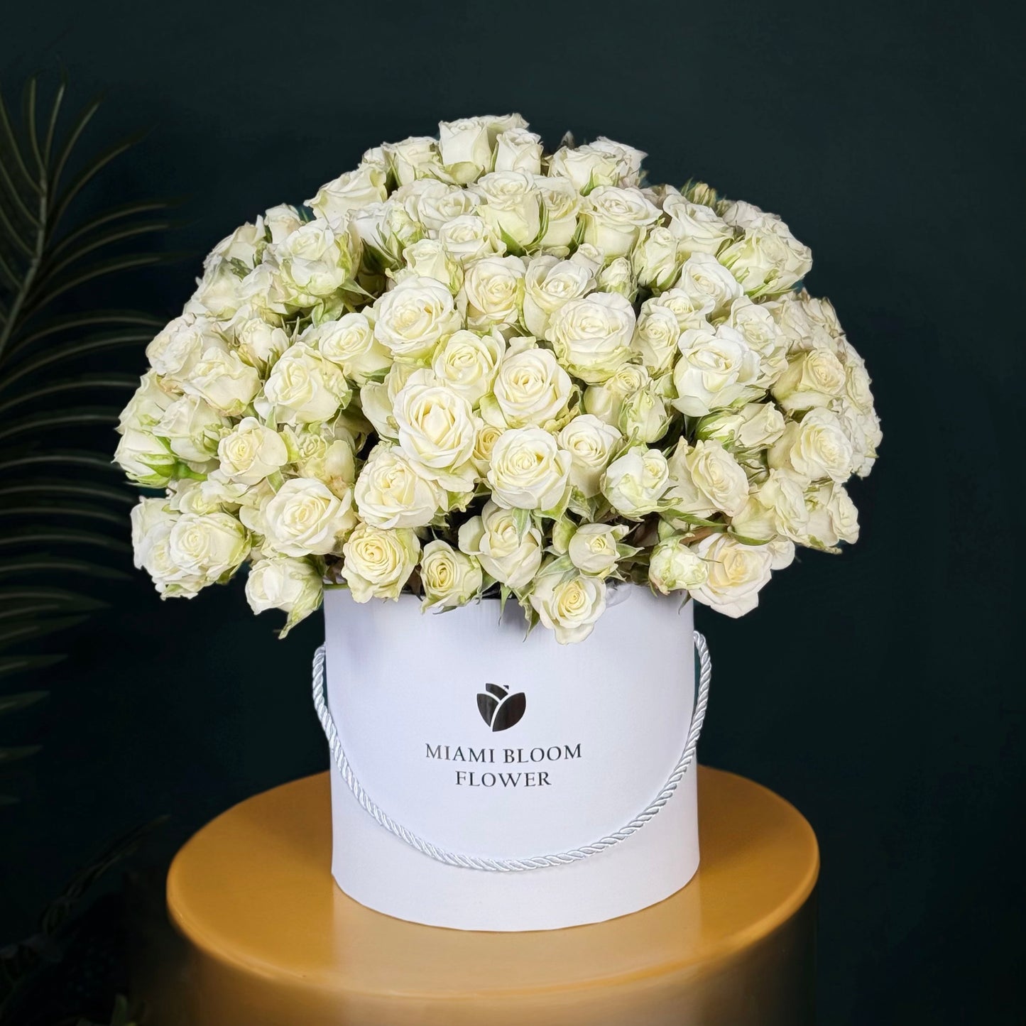 White Spray Roses Box