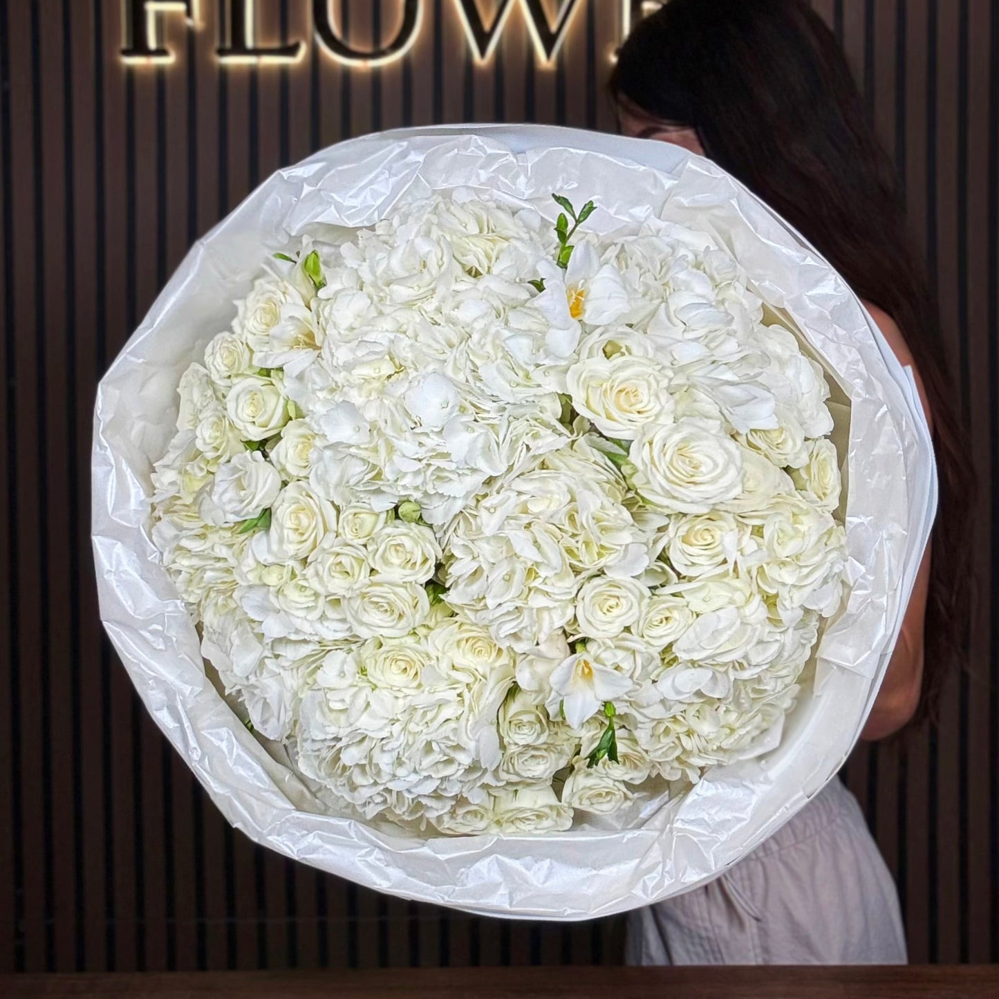 Hydrangeas Pure Miami