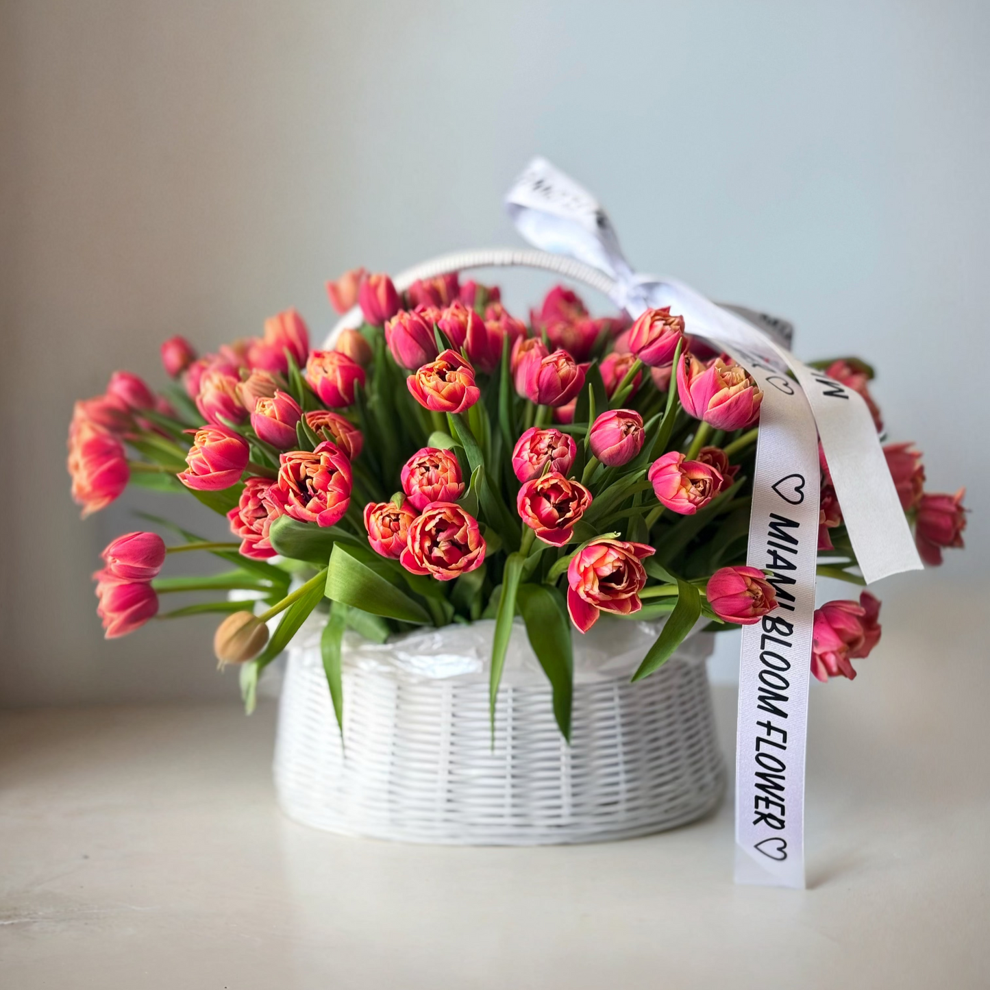 Tulips bucket Miami Bloom Flower