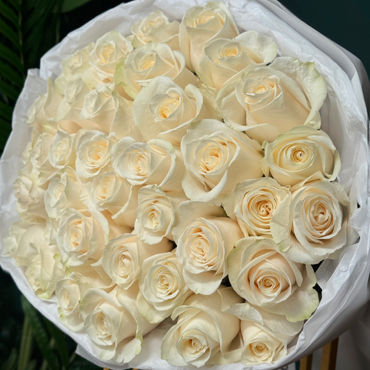 white roses miami