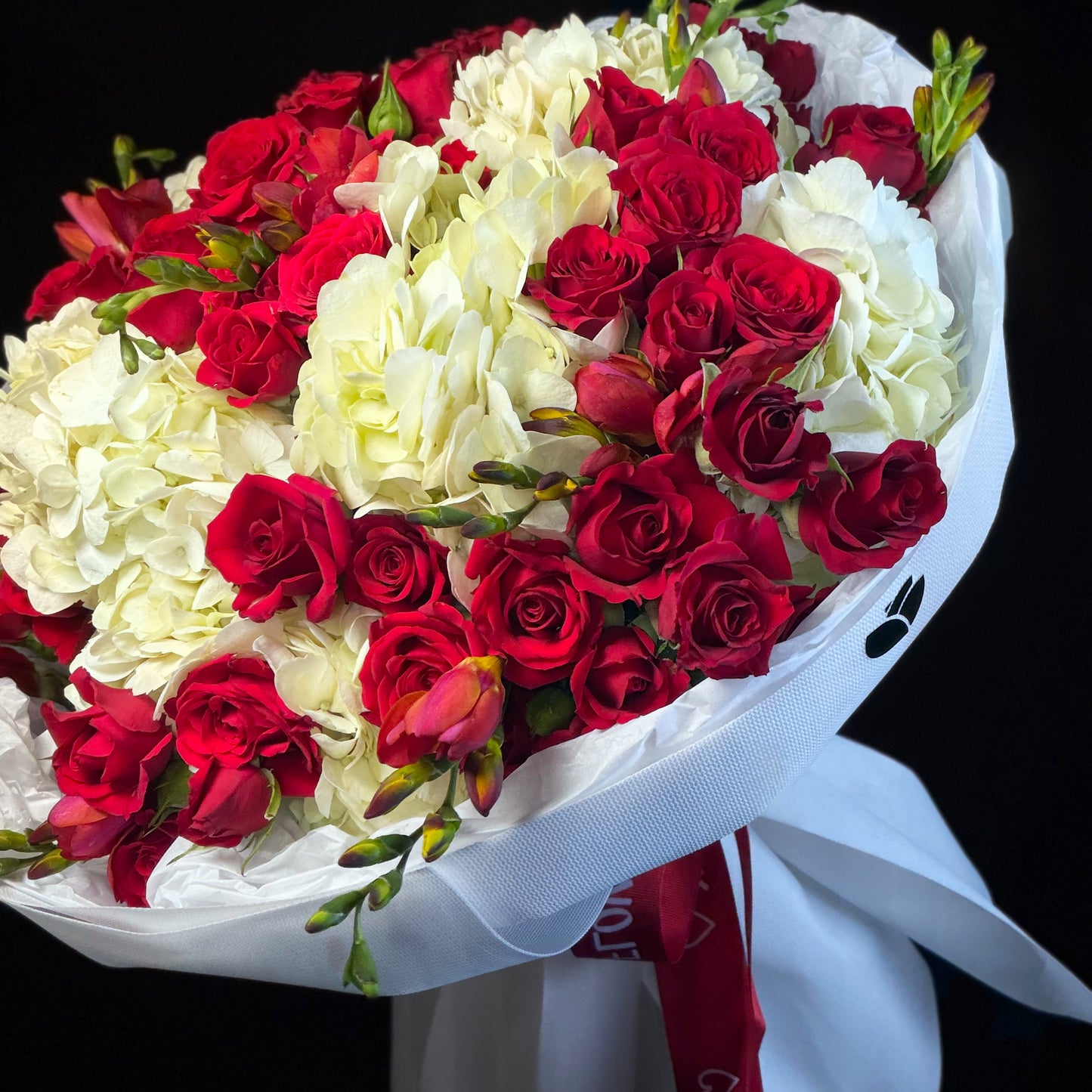 Hydrangeas Rouge Miami