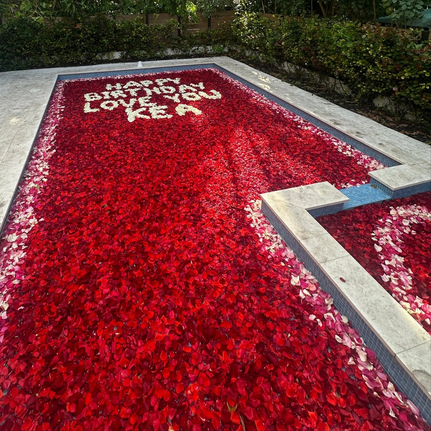 Pool Flower Decoration Miami Bloom Flower