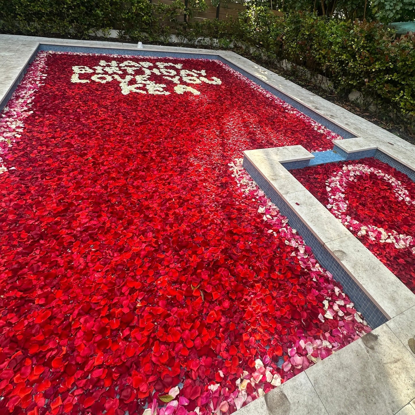 Pool Flower Decoration Miami Bloom Flower