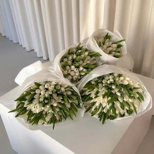 White tulips bouquet