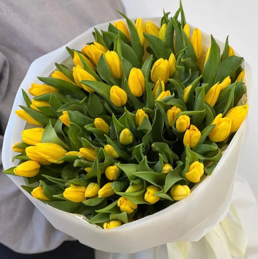 Yellow tulips bouquet miami bloom flower