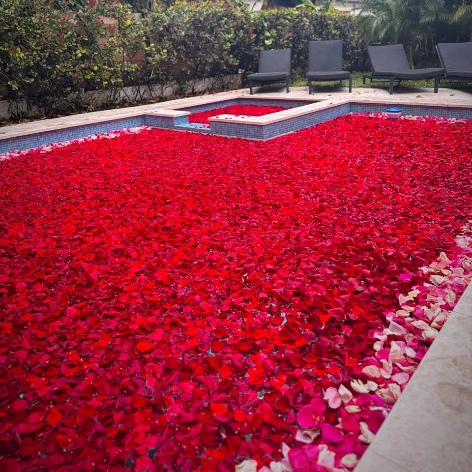 Pool Flower Decoration Miami Bloom Flower