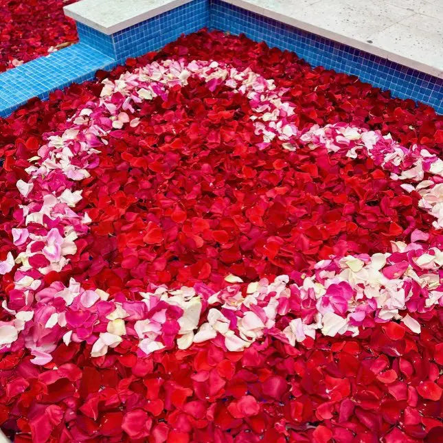 Pool Flower Decoration Miami Bloom Flower