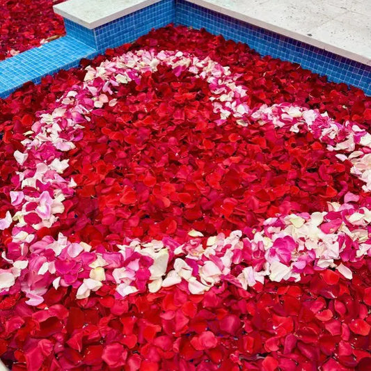 Pool Flower Decoration Miami Bloom Flower