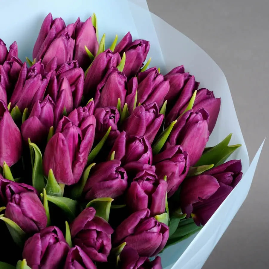 Purple tulips bouquet miami bloom flower