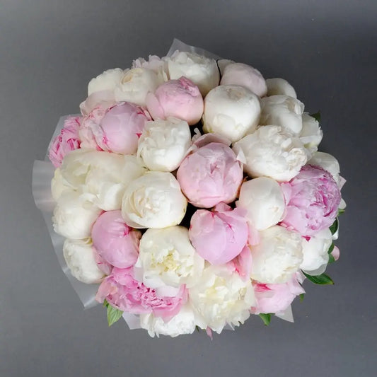 Peonies box Miami Bloom Flower
