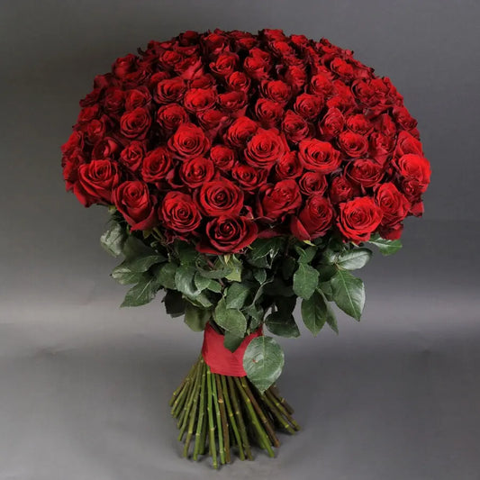 red roses