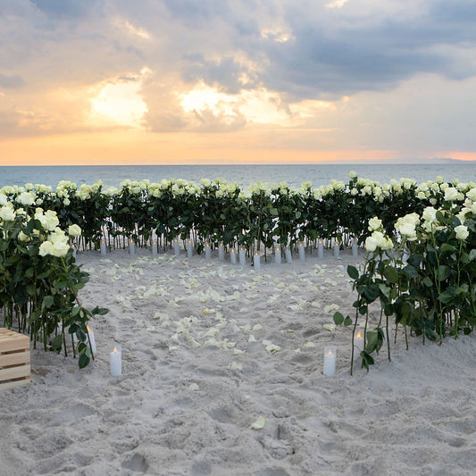 Roses Heart Proposal | Miami Beach Proposal Setup