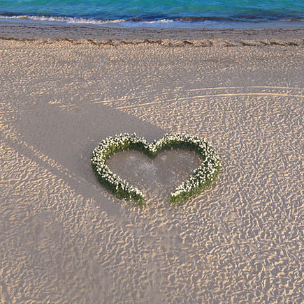 Roses Heart Proposal | Miami Beach Proposal Setup