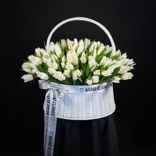 Tulips bucket Miami Bloom Flower