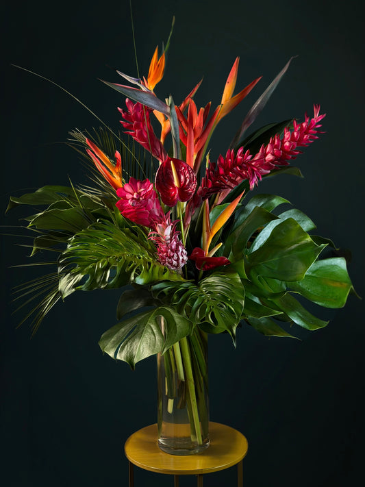 Tropical Bloom miami 