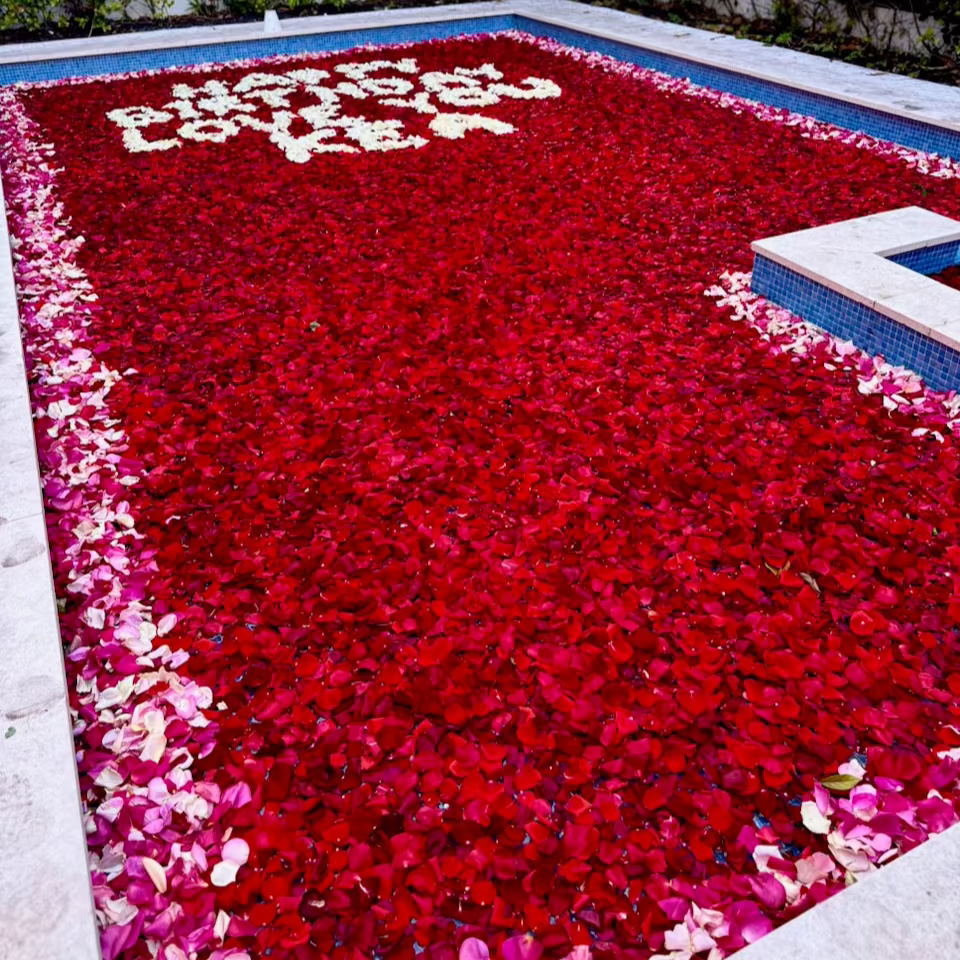 Pool Flower Decoration Miami Bloom Flower