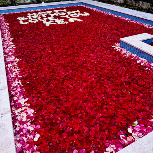 Pool Flower Decoration Miami Bloom Flower