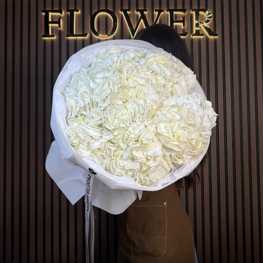 White Hydrangea Miami delivery