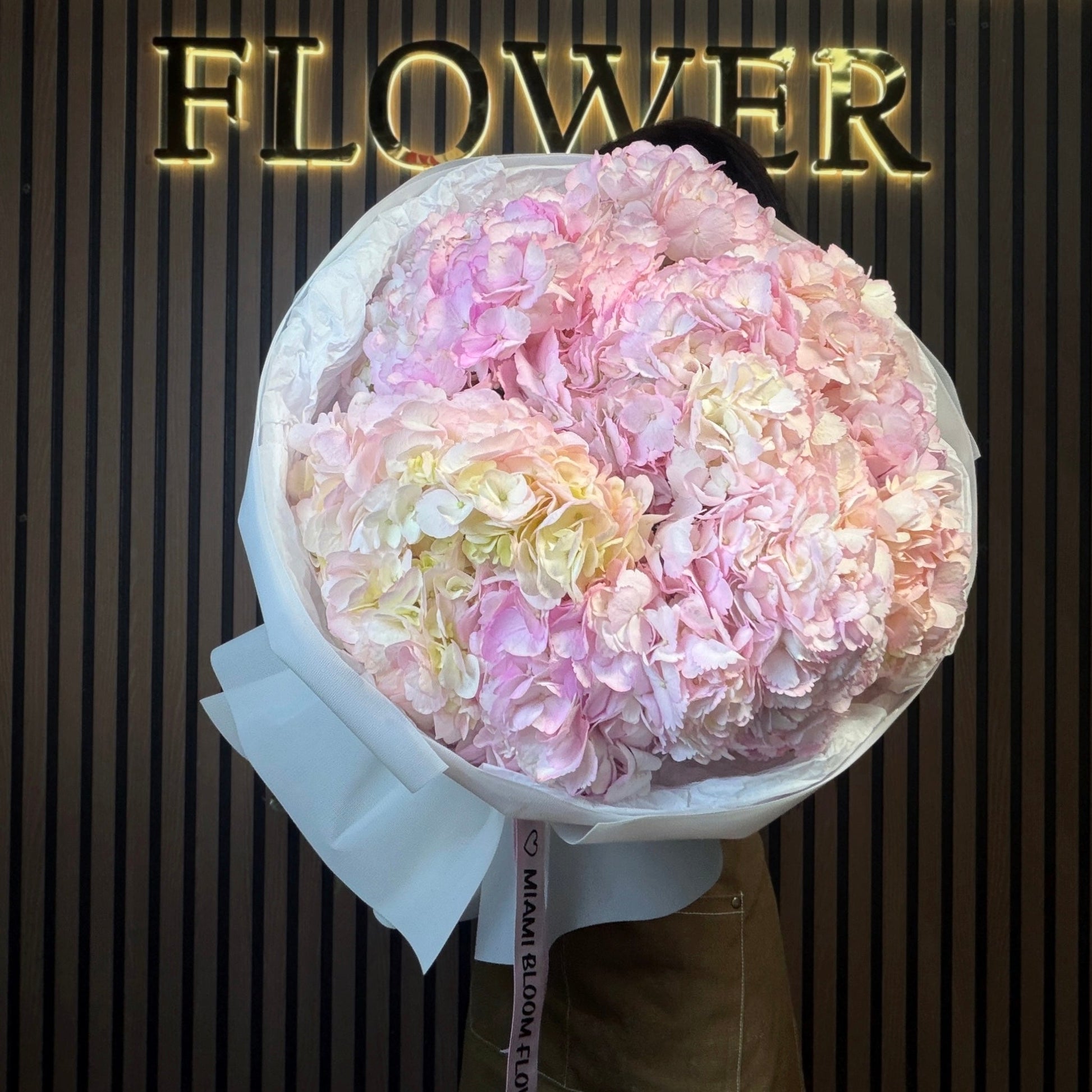 Pink Hydrangea Cloud Miami Bloom Flower