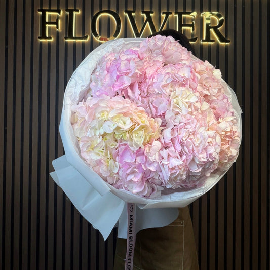 Pink Hydrangea Cloud Miami Bloom Flower