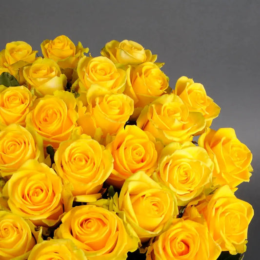 yellow roses miami
